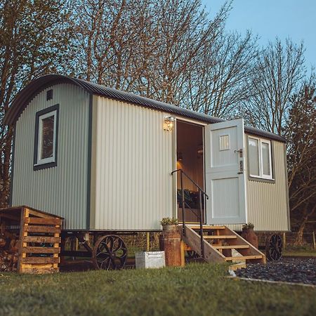 Shabby Shepherds Penrith Bagian luar foto