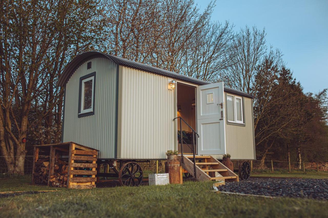 Shabby Shepherds Penrith Bagian luar foto