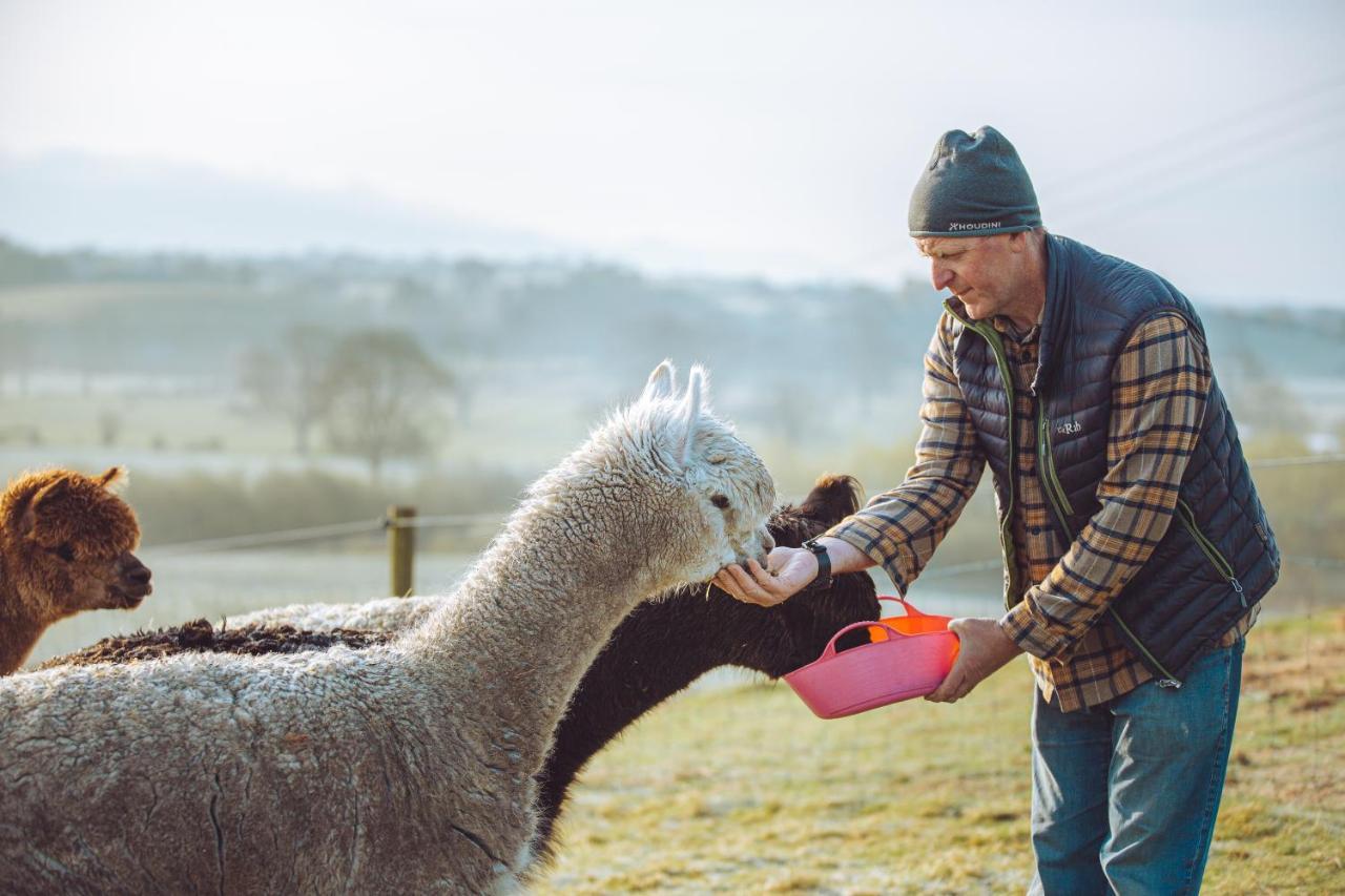 Shabby Shepherds Penrith Bagian luar foto